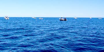 Santa Rosalia Mexico Small Boat Fishing Photo 1