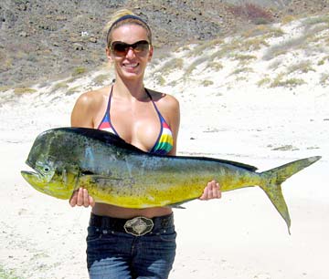 La Paz Mexico Fishing Photo 4