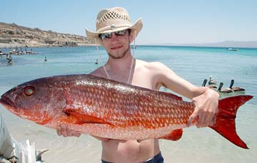 La Paz Mexico Pargo Lisa Photo